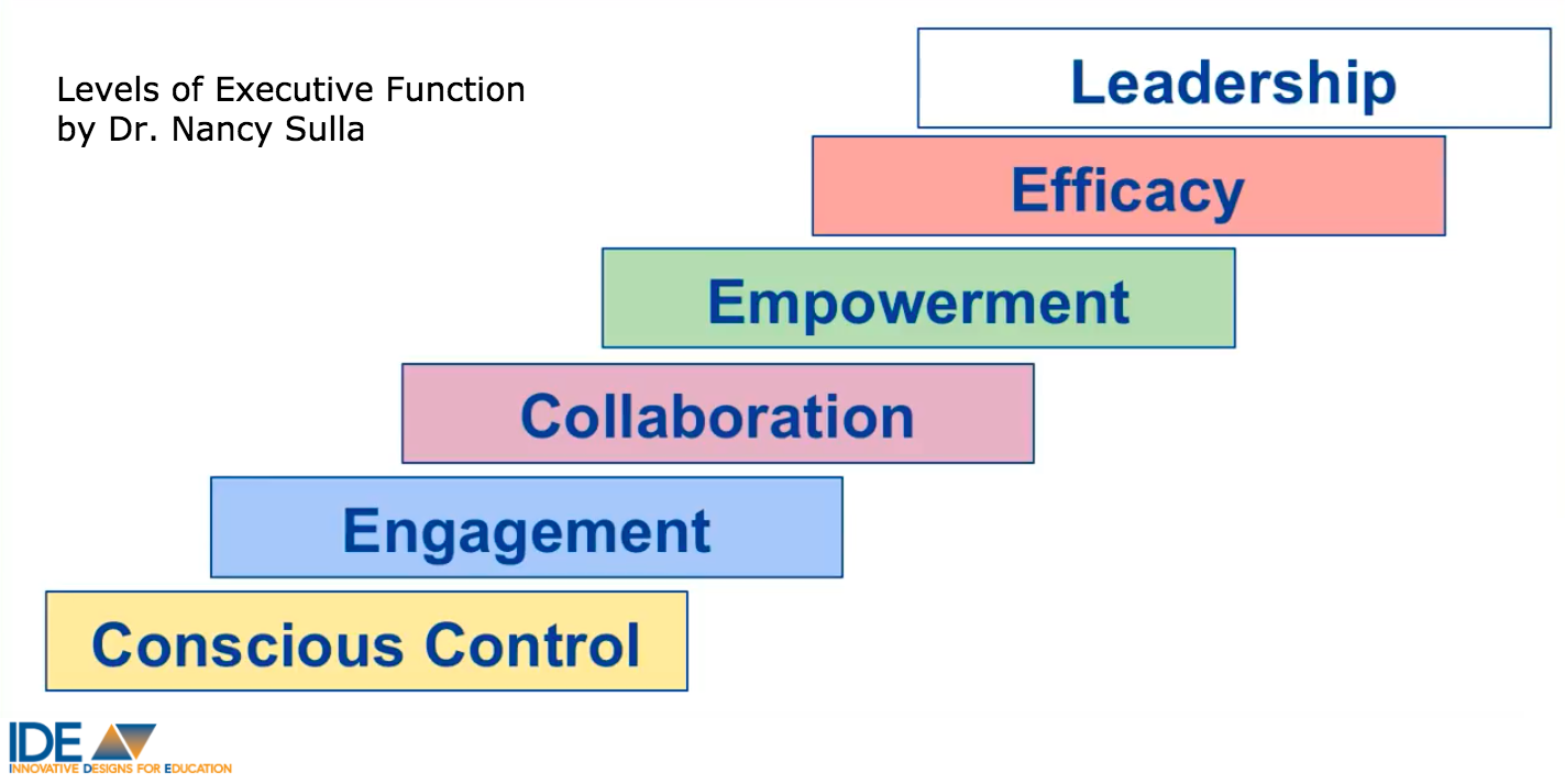 Executive Function